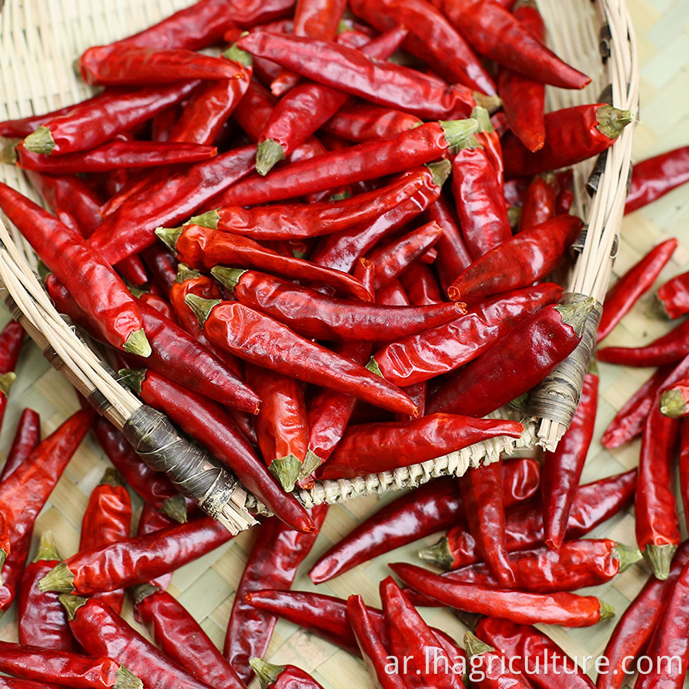 Sichuan Millet Pepper Price